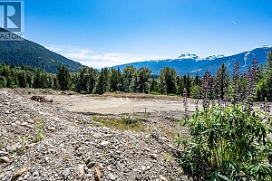 1 Proposed Lot #1 150 Townley Street - Photo 5